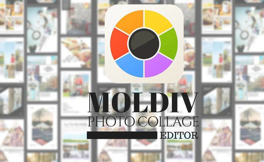 Pantallazo de la app Moldiv