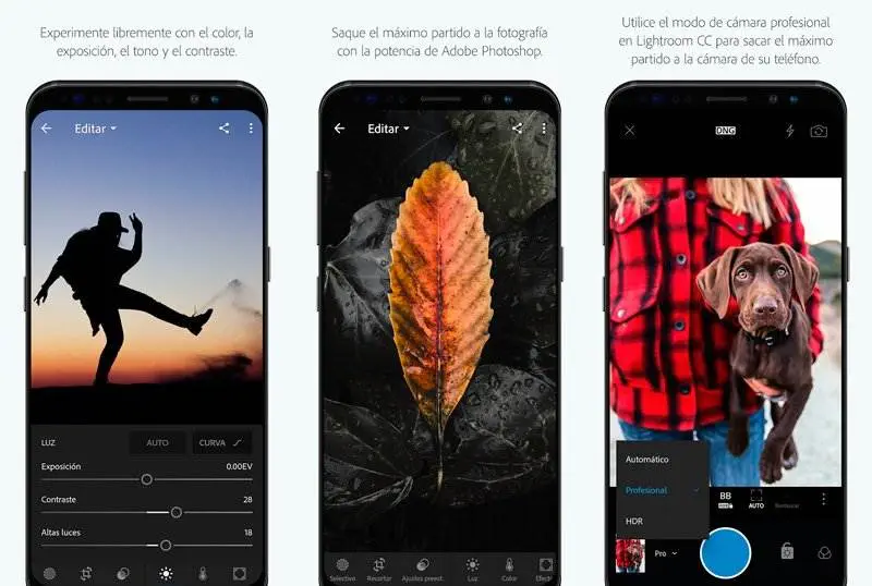 Pantallazo de la app Adobe Lightroom CC